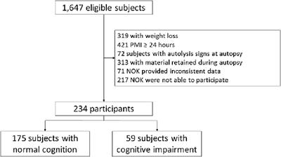 Direct Measurements of Abdominal Visceral Fat and Cognitive Impairment in Late Life: Findings From an Autopsy Study